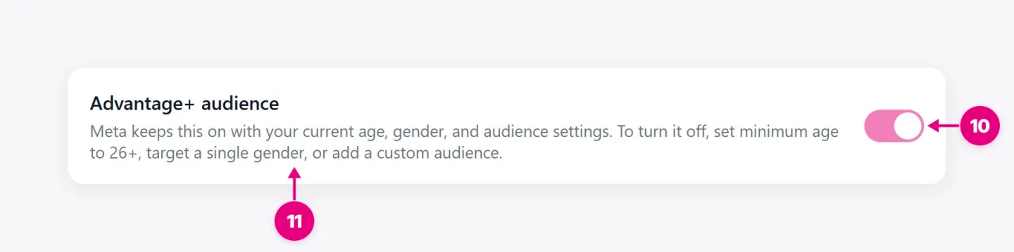 Advantage+ audience section showing its toggle and the conditions that turn it off.